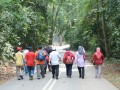 Tn PPTC 168